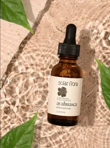 ayahuasca for sale