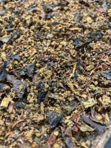 changa dmt