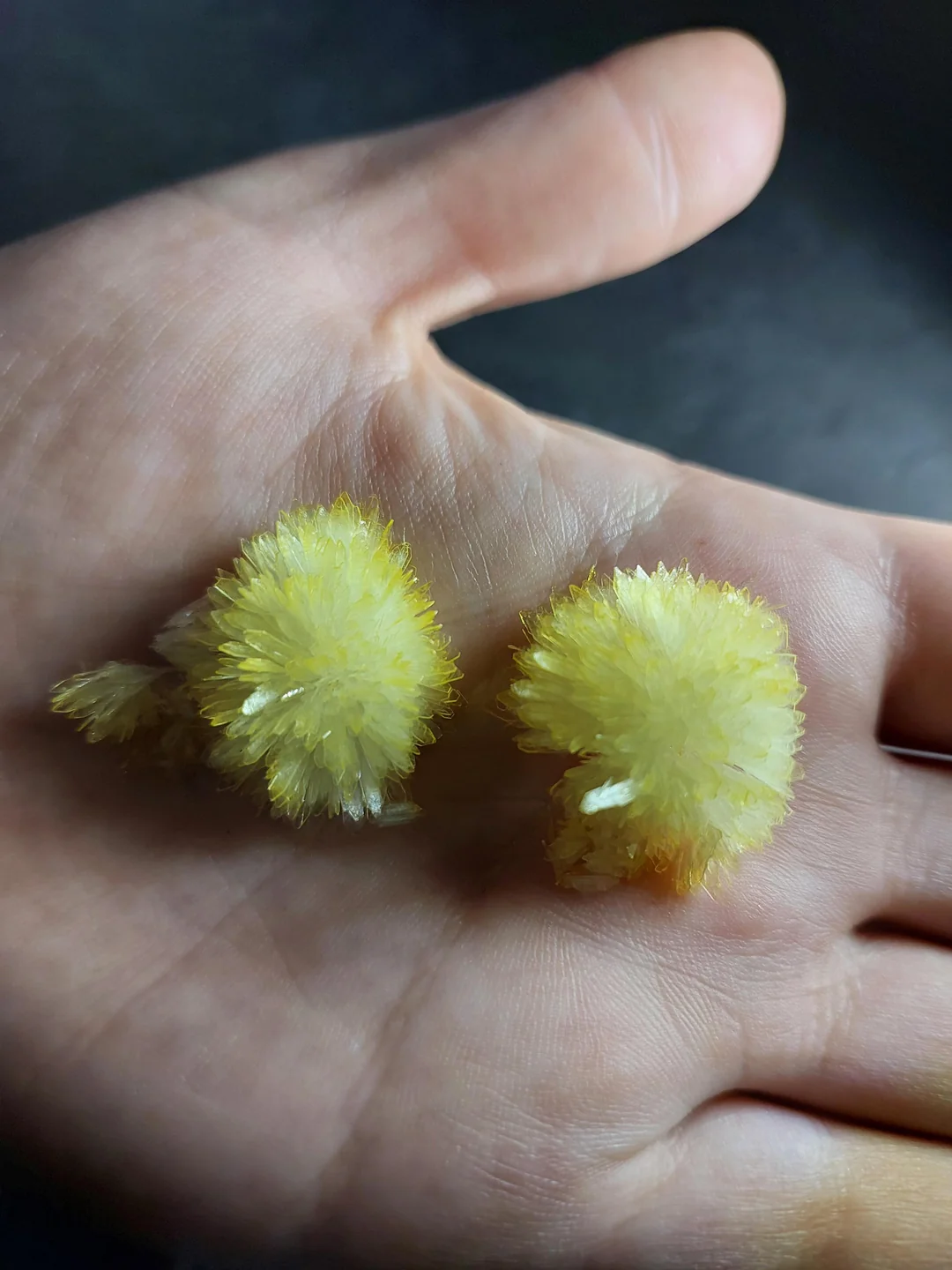 buy dmt crystals online